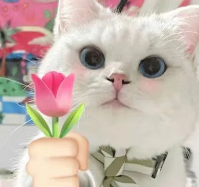 BWIN·必赢(中国)唯一官方网站