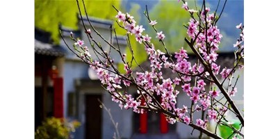 阳春三月，，，，，，，必赢国际精机一大波展会即未来袭，，，，，，，您准备好了吗？？？？？？？？